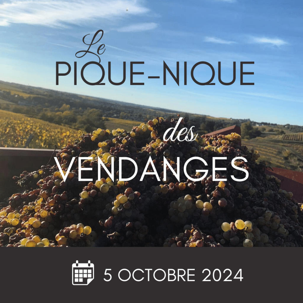 Pique-Nique des Vendanges 2024